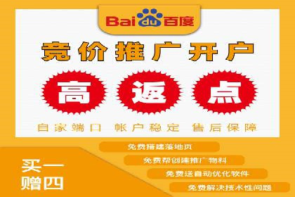 百度竞价推广代运营经典案例分析